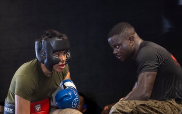 Martial Arts Instructor Course: Striking Drills