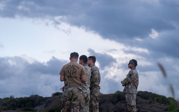 DoD supports interagency partners during illegal alien arrival flight