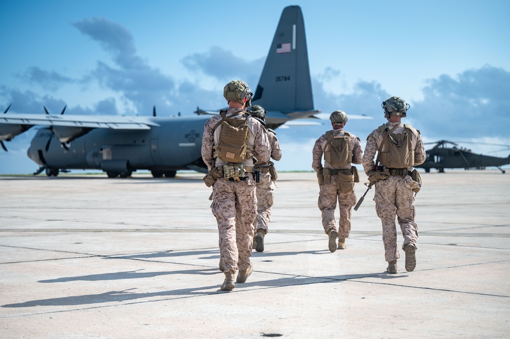 DoD supports interagency partners during illegal alien arrival flight