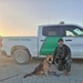 Border Patrol K-9 flown to safety after rattlesnake bite in Otay Mountain