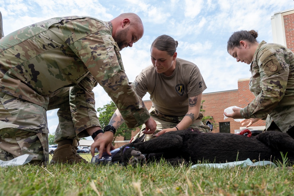 First Aid for Four Legs: Members Train to Treat K-9 Injuries