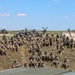 U.S. Soldiers Attend Air Assault School in Romania