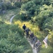 Army 250-Mile Ruck March Ragnar Legs 33-38