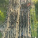 The All-American Week (2025) Division Run and Flyover