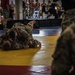 All American Week 2025: Combatives Tournament