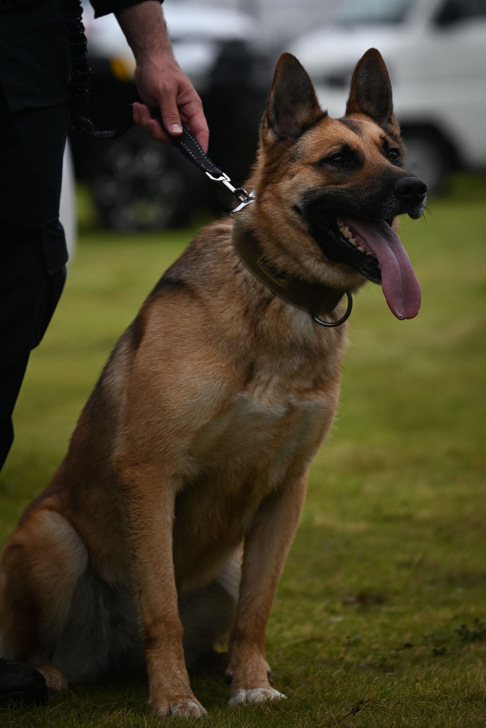 Japanese-American Festival K-9 Event: Day One