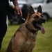 Japanese-American Festival K-9 Event: Day One