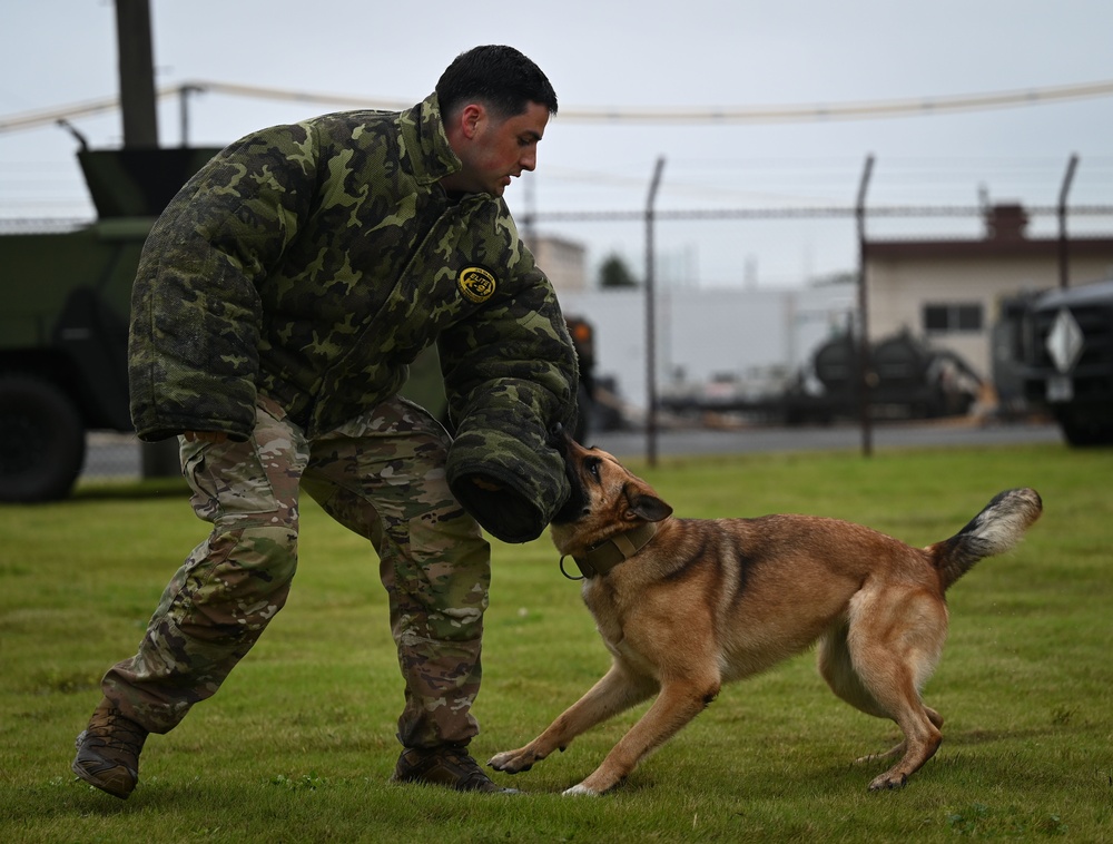 Japanese-American Festival K-9 Event: Day One