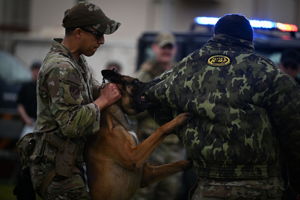 Japanese-American Festival K-9 Event: Day One