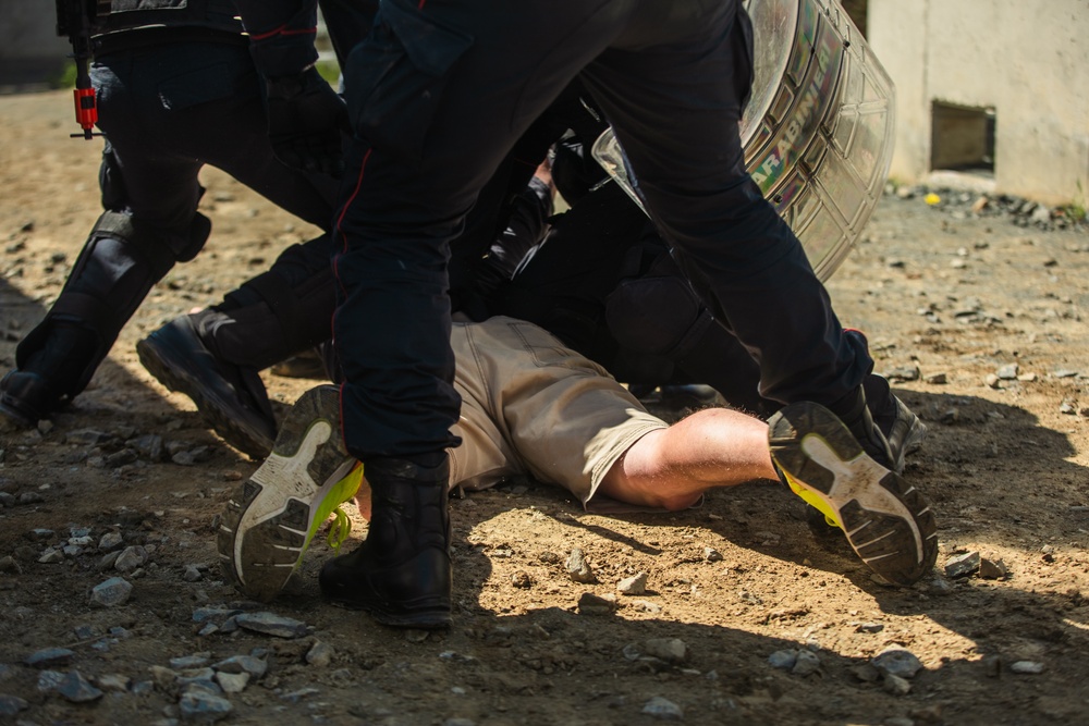 Army Soldiers detained by partner nations for training exercise