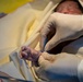 US, Ghana midwives team up in maternity ward at African Lion 2025