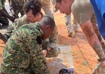 Tactical Combat Casualty Care