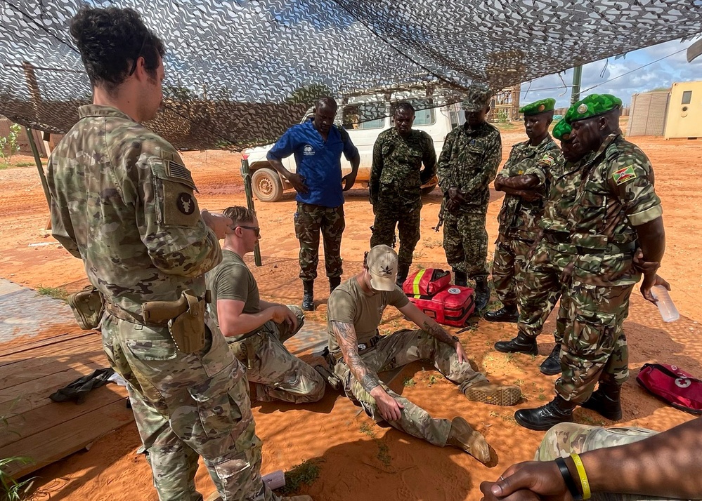 Tactical Combat Casualty Care