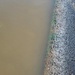 Structural Damage Discovered at Claiborne Lock and Dam Spillway