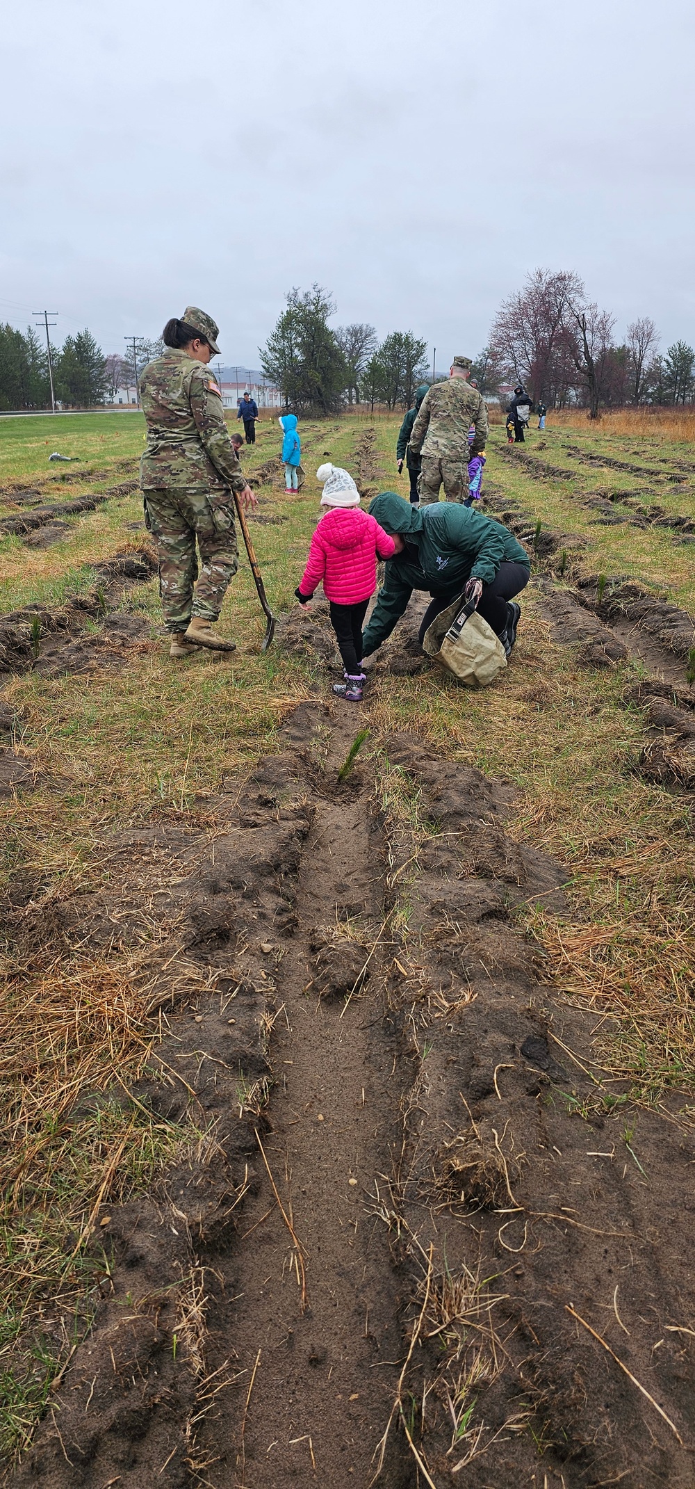 Fort McCoy continues annual tree replenishment efforts; earns 36th Tree City USA award in process