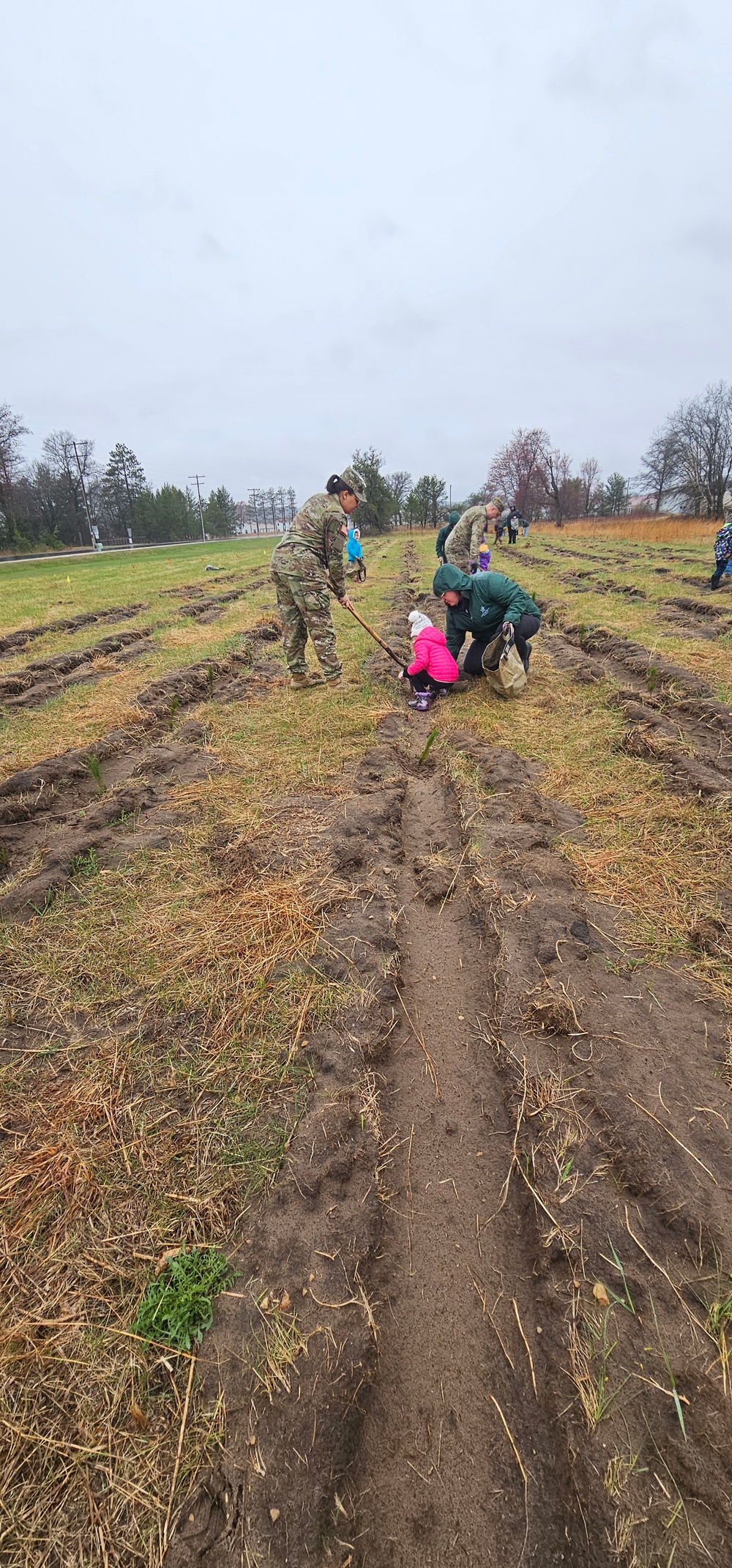 Fort McCoy continues annual tree replenishment efforts; earns 36th Tree City USA award in process