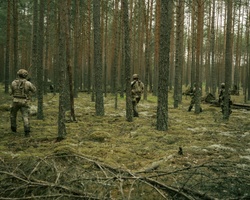173rd Airborne Brigade Paratroopers Execute STX Training in Lithuania During Swift Response 2025 [Image 3 of 9]