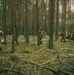 173rd Airborne Brigade Paratroopers Execute STX Training in Lithuania During Swift Response 2025