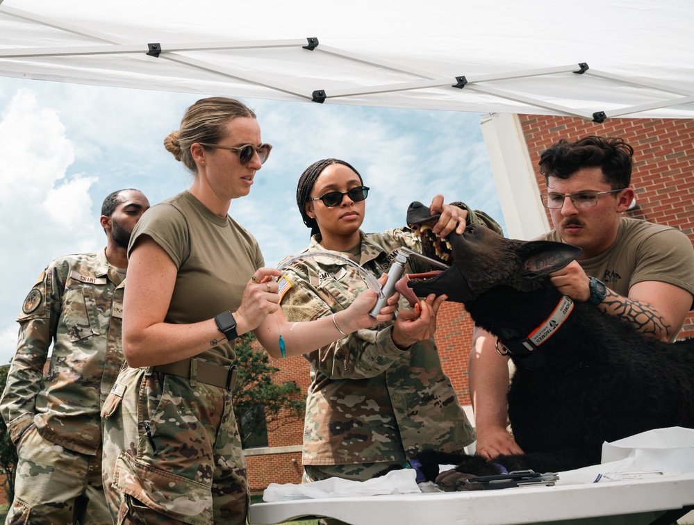 First Aid for Four Legs: Members Train to Treat Canine Injuries