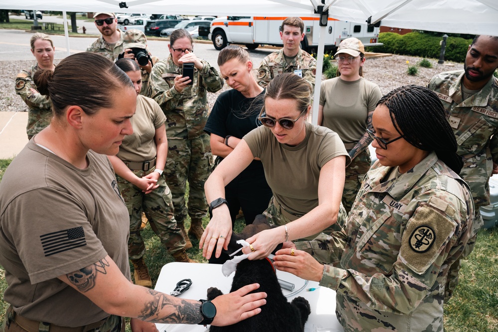 First Aid for Four Legs: Members Train to Treat Canine Injuries