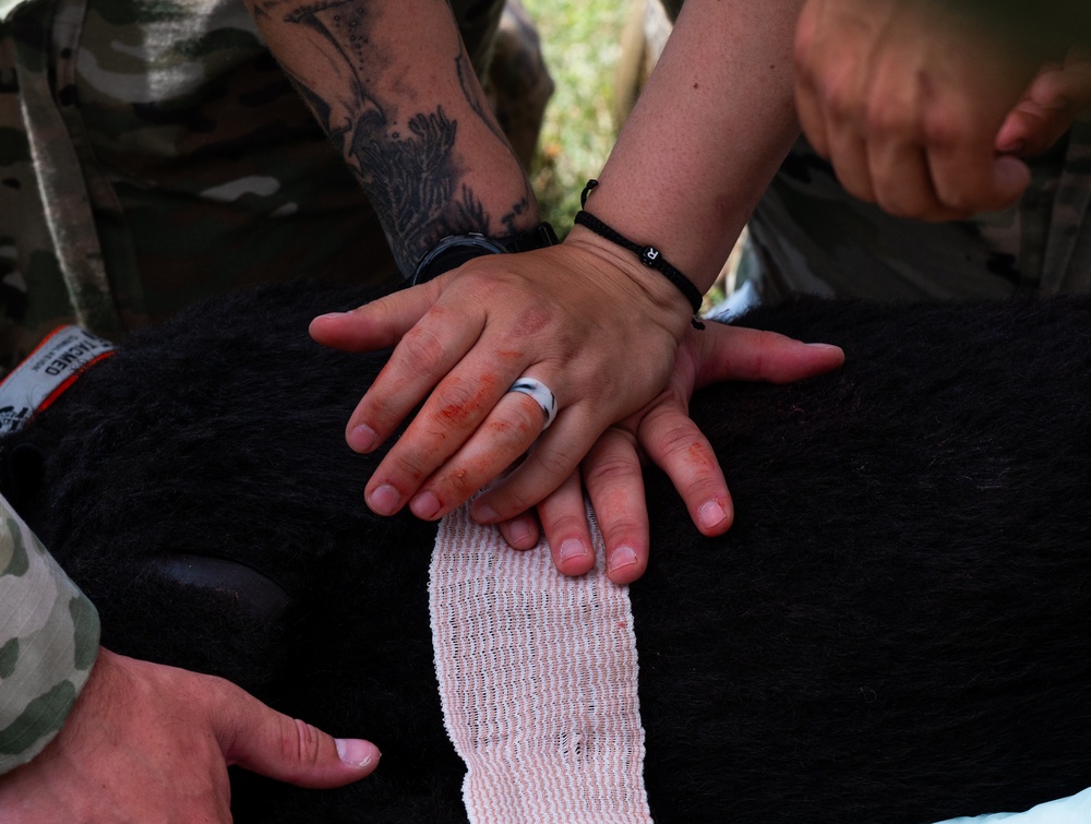 First Aid for Four Legs: Members Train to Treat Canine Injuries