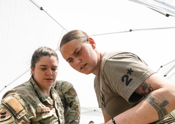 First Aid for Four Legs: Members Train to Treat Canine Injuries