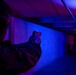 USS Ronald Reagan (CVN 76) Sailors qualify at the range
