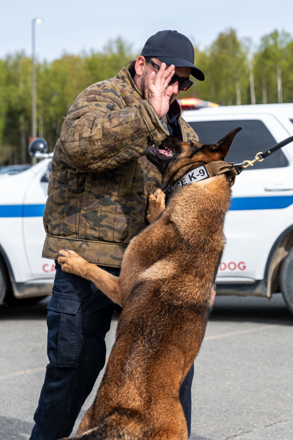 673d SFS Military Working Dog demonstration