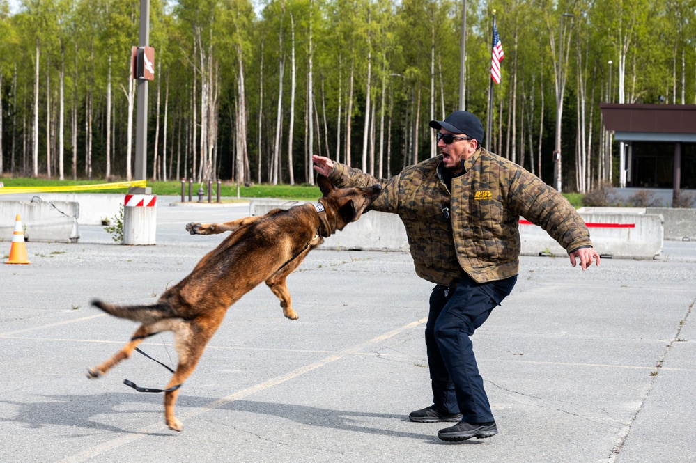 673d SFS Military Working Dog demonstration