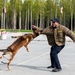 673d SFS Military Working Dog demonstration
