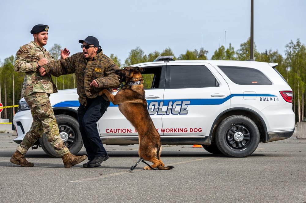 673d SFS Military Working Dog demonstration