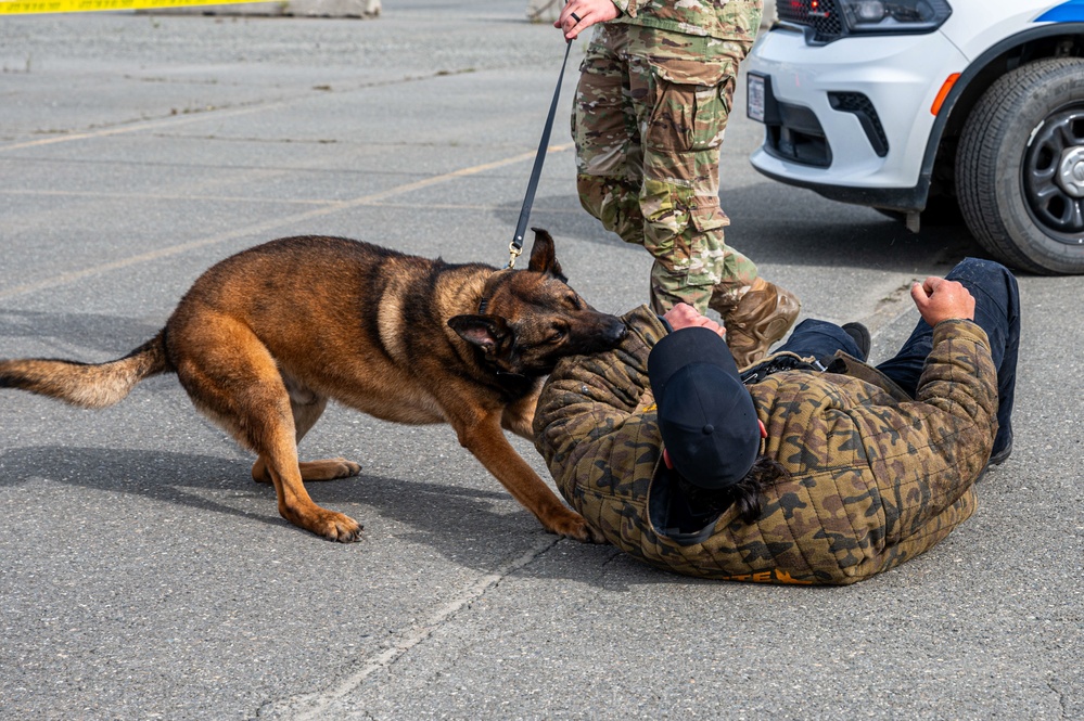 673d SFS Military Working Dog demonstration