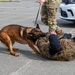 673d SFS Military Working Dog demonstration