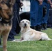 National Police Week concludes with a retreat ceremony