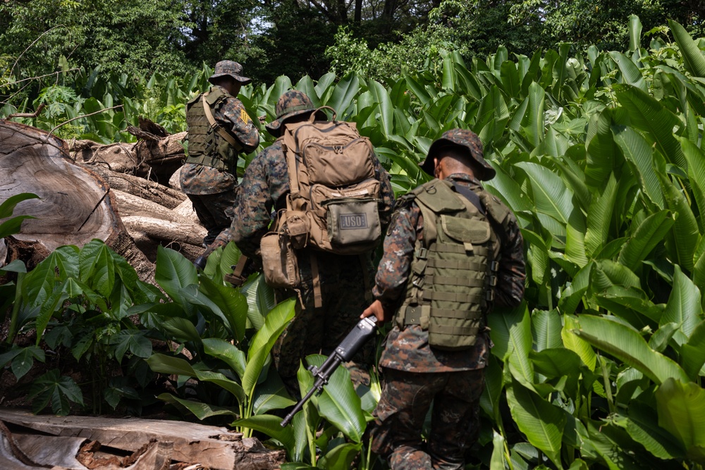 Marines instruct Guatemalan Paracaidistas in ambush tactics