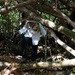 Family of B-29 &quot;Colleen&quot; Captain visits Crash Site for 80th Anniversary