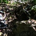Family of B-29 &quot;Colleen&quot; Captain visits Crash Site for 80th Anniversary