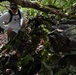 Family of B-29 &quot;Colleen&quot; Captain visits Crash Site for 80th Anniversary