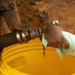 Marines Execute a Resupply and Water Purification Test