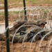 12th MLR Marines Participate in a Demolition Range