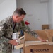 US, Morocco conduct joint medical mission at African Lion 2025