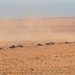 African Lion 2025 showcases lethal capabilities in Tantan, Morocco