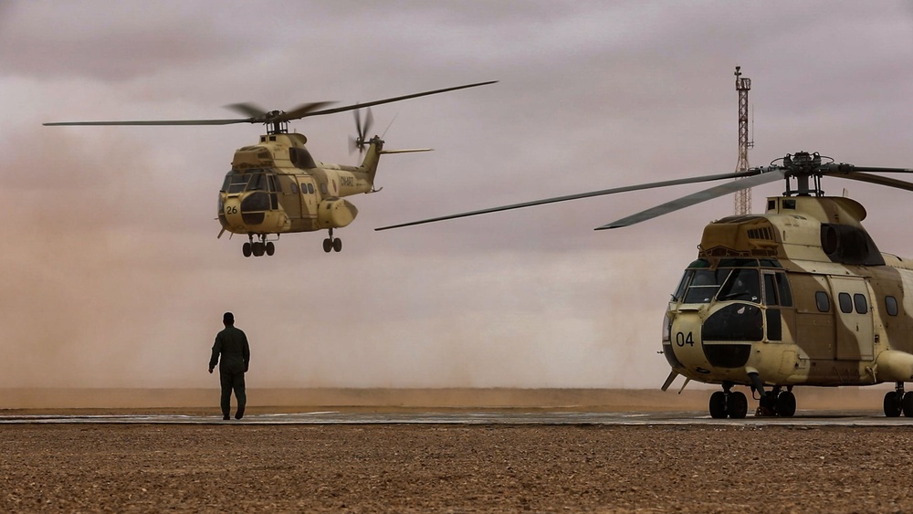 African Lion 2025 showcases lethal capabilities in Tantan, Morocco