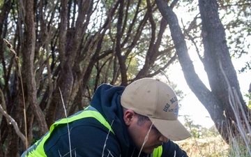 U.S. Navy Sailors Bolster Tree Conservation Efforts in New Zealand