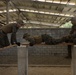 Activated Reserve Marines Conduct Team Leadership Training during Korea Viper 25.4
