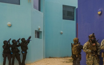 U.S. - Qatari Forces Partner for Invincible Sentry