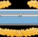 U.S. Army NATO Soldier first to receive new Master Combat Badge