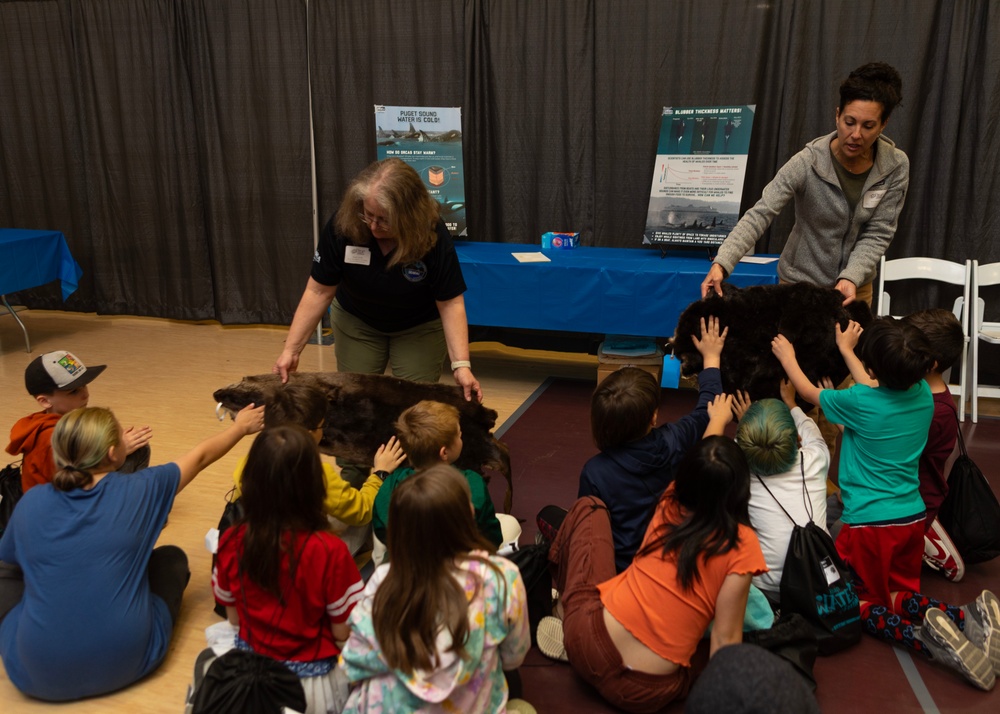 Naval Warfare Center employees explore marine mammal adaptations with students at Kitsap Water Festival