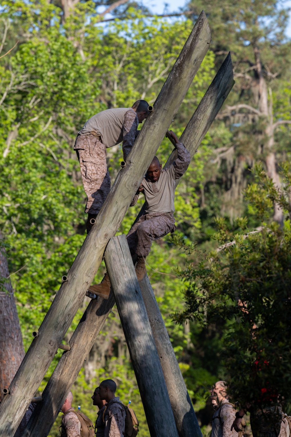 Alpha Company Confidence Course
