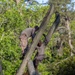 Alpha Company Confidence Course